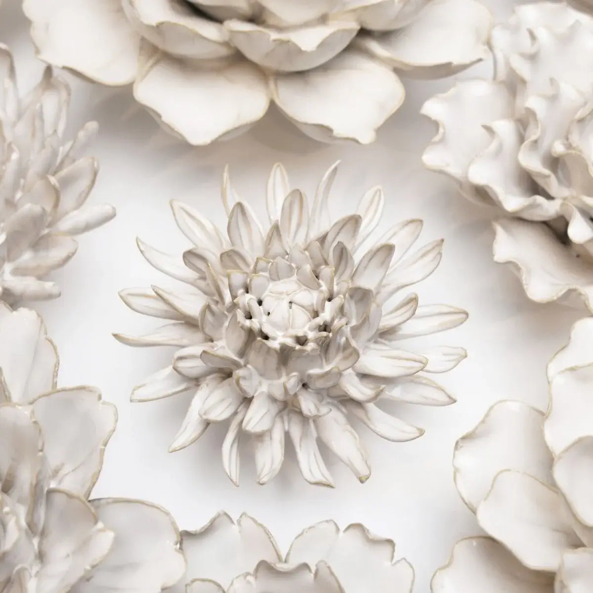 Luxury Ceramic Flowers - Handcrafted Boxed Gifts Spider Mum