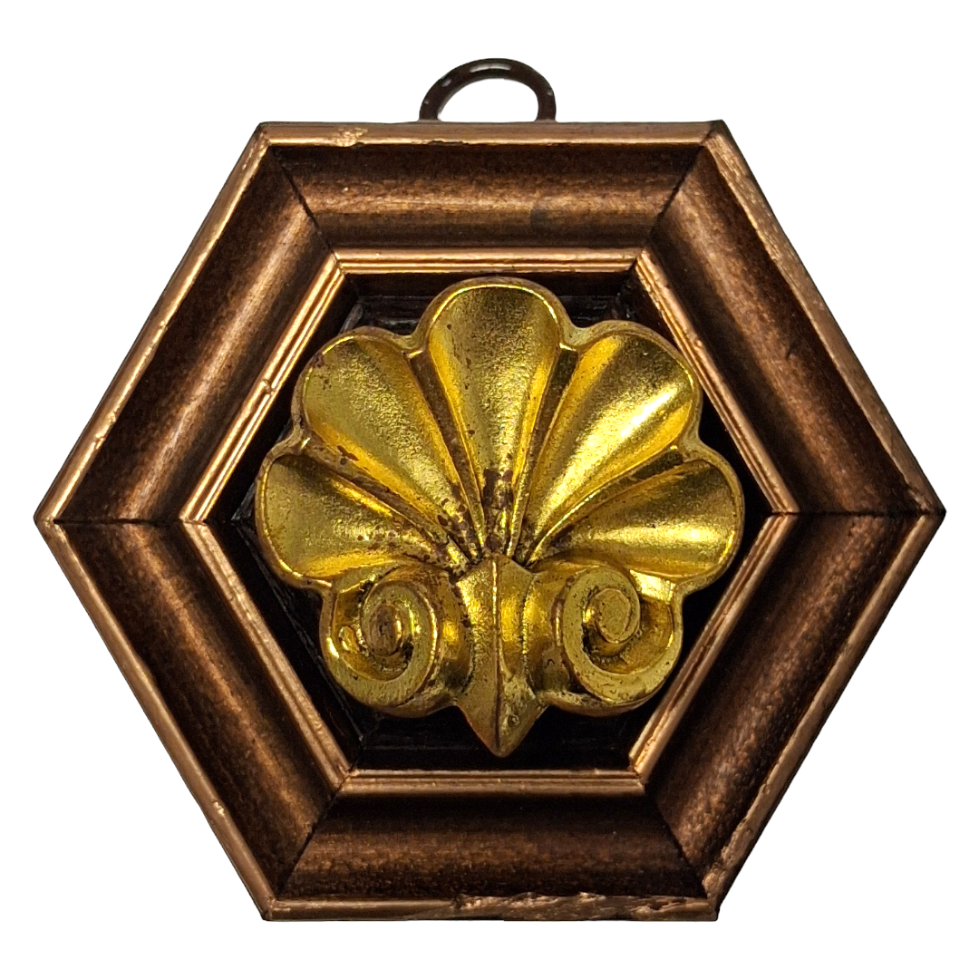 Hexagon Shell Museum Bee