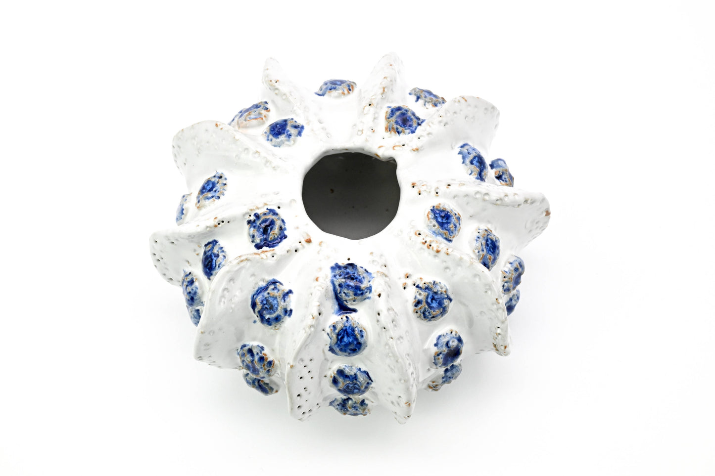 SRI193WB Coral ceramic vase white and blue