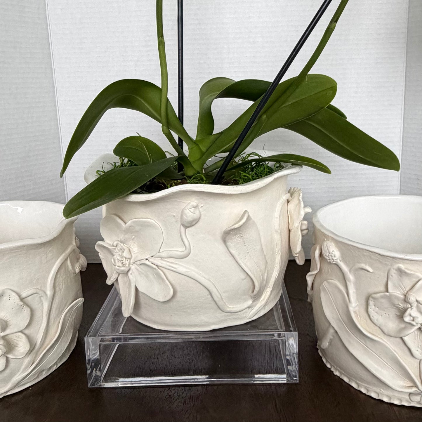 Large Orchid Planter by Gail Williams