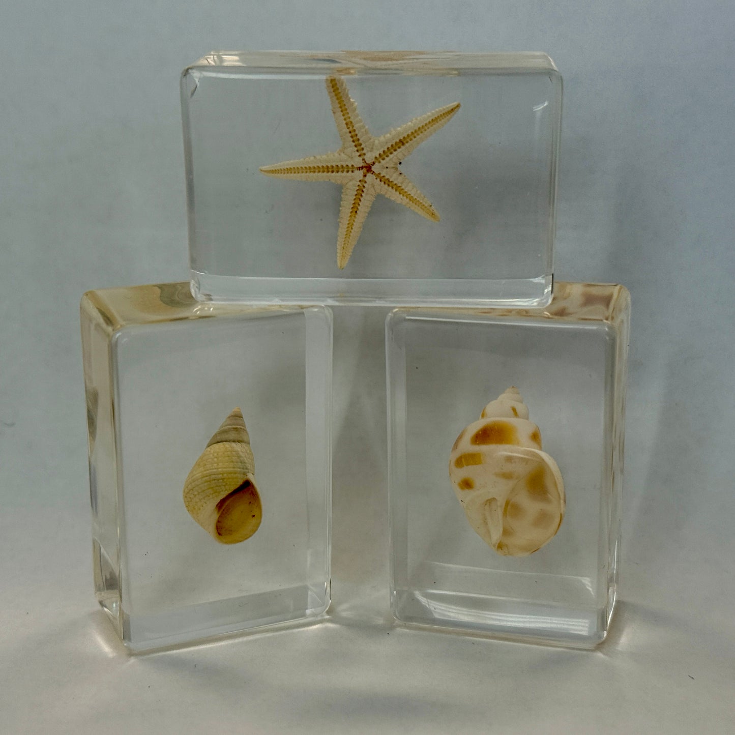 Salt Cubes
