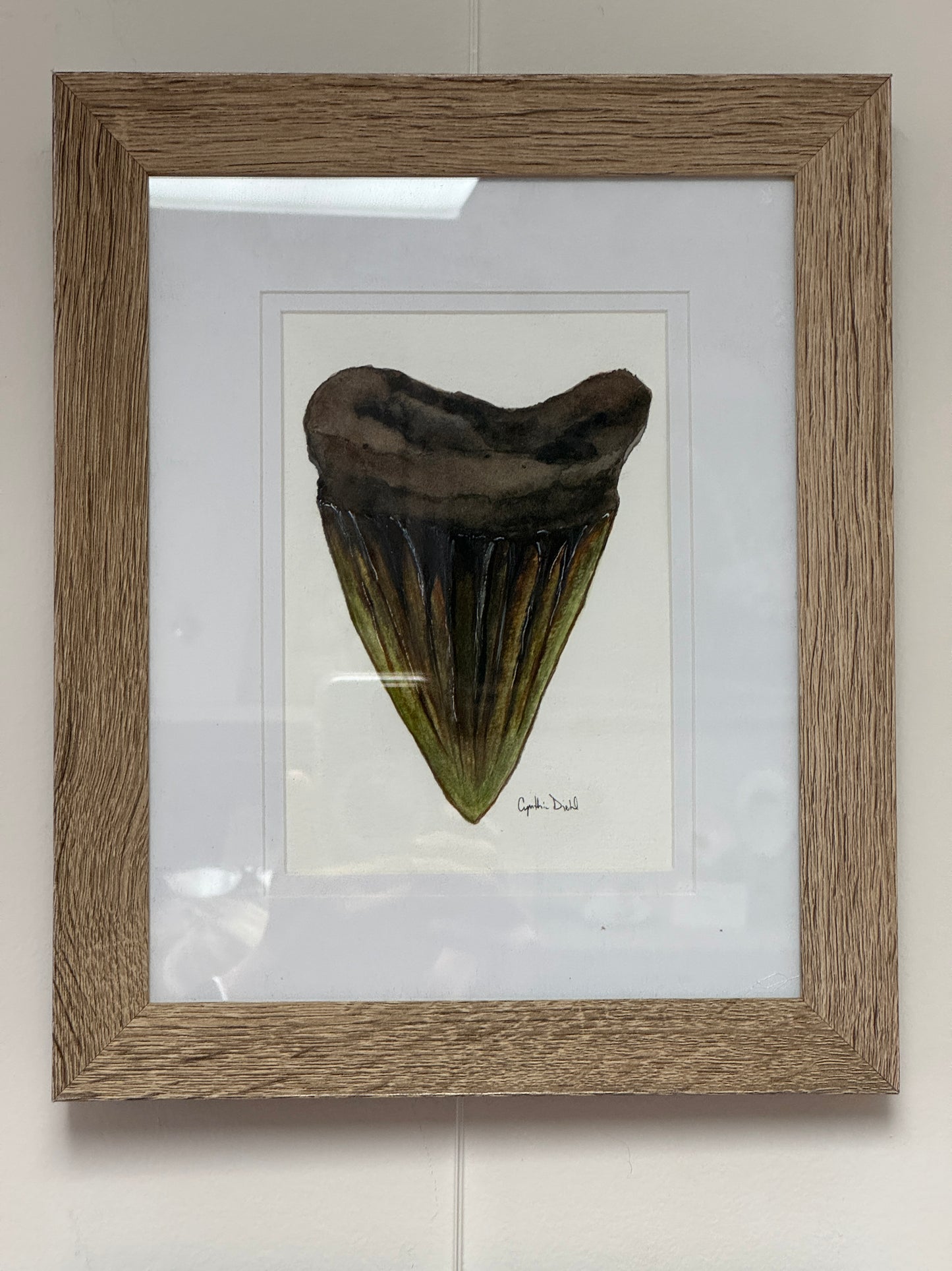 ‘Small Shark Tooth Original” by Cynthia Diehl