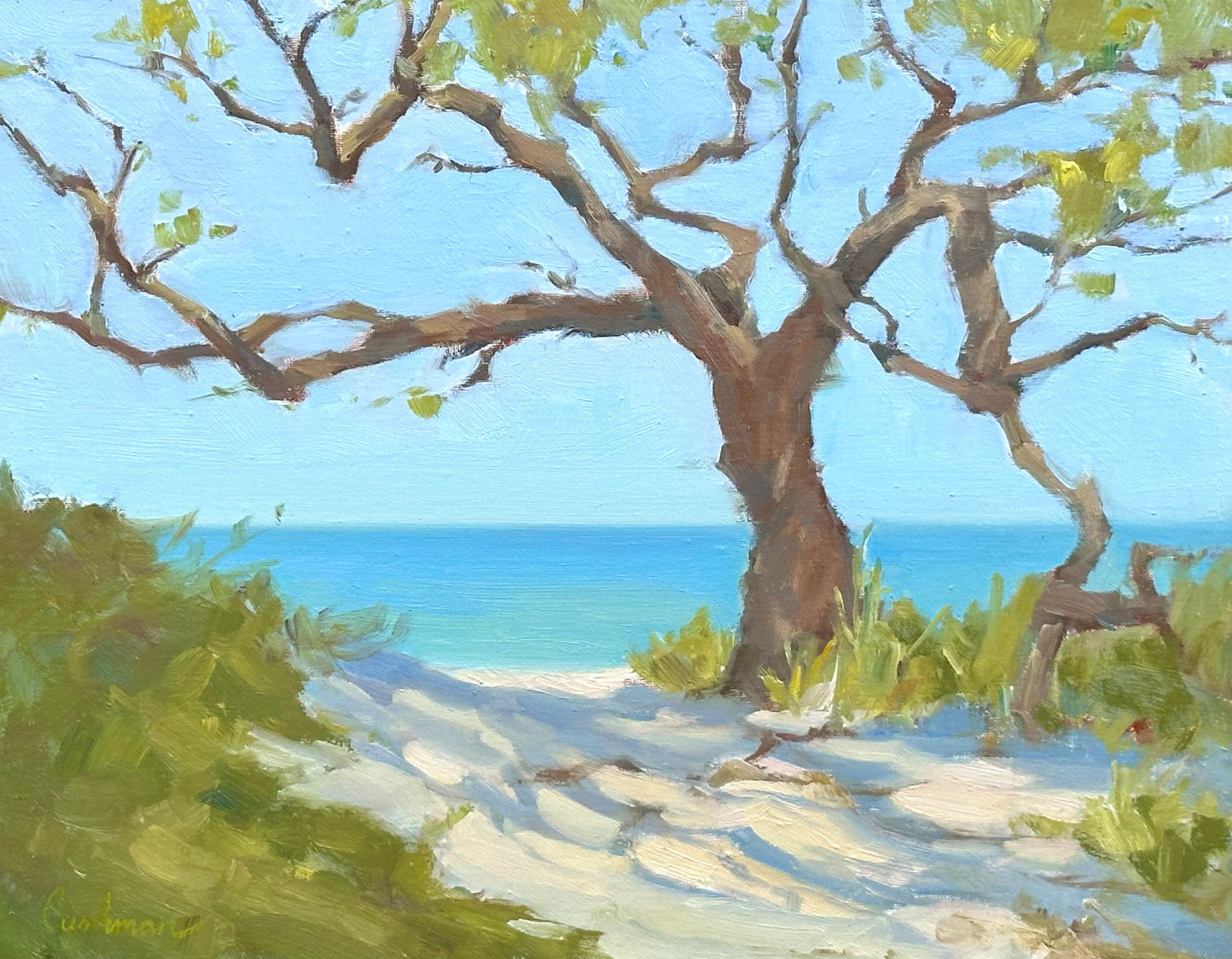 SPRINGERS POINT by Audrey Cushman