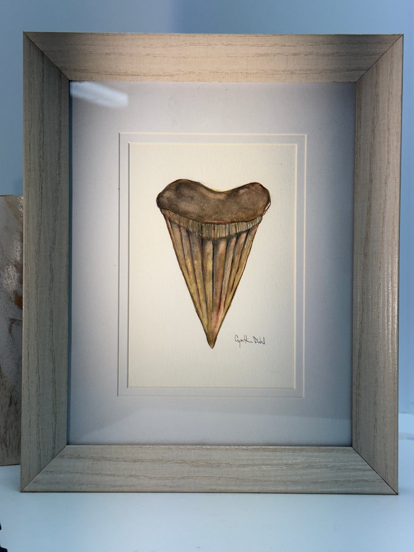 ‘Small Shark Tooth Original” by Cynthia Diehl