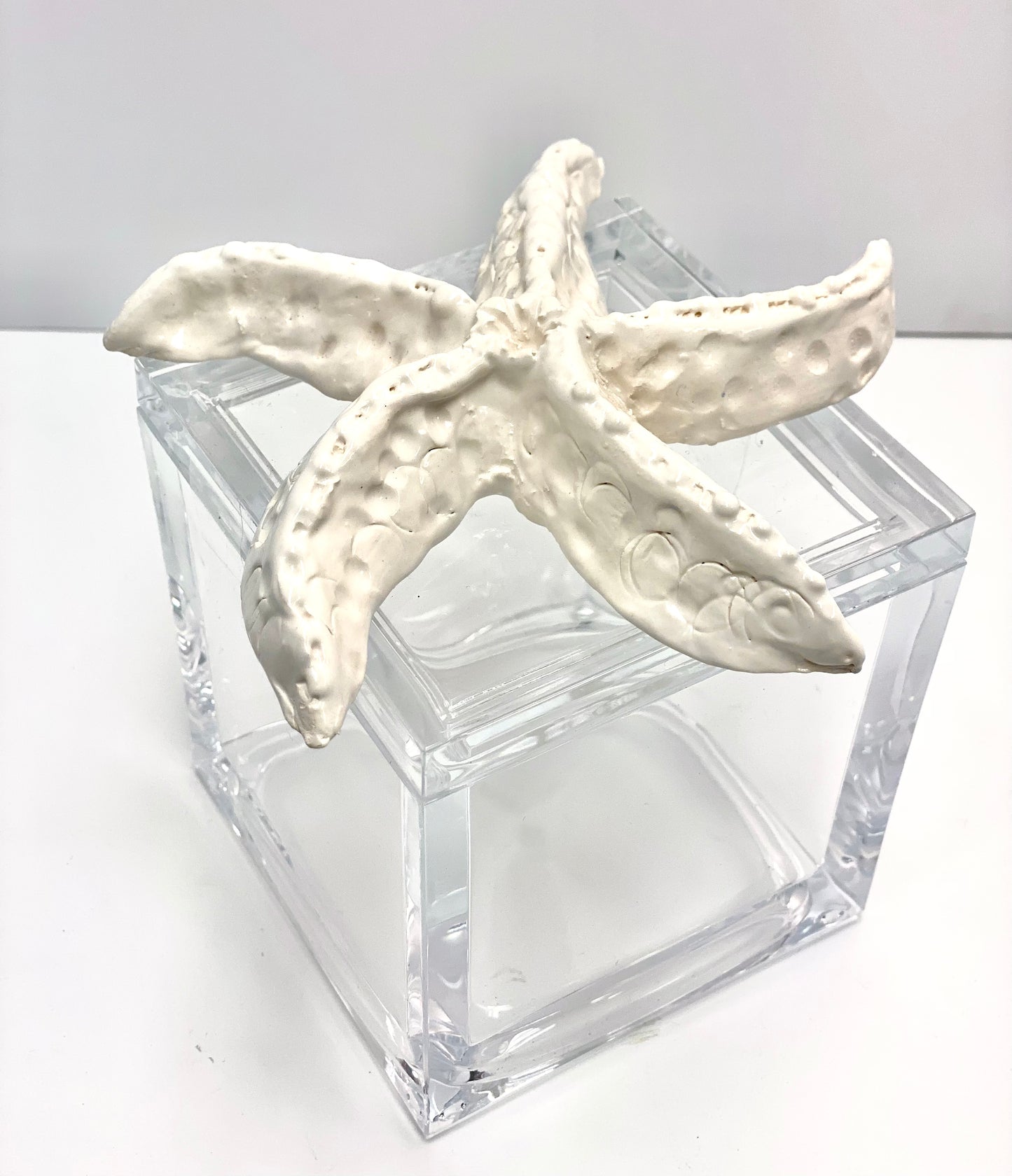 Starfish Lucite Box by Gail Williams