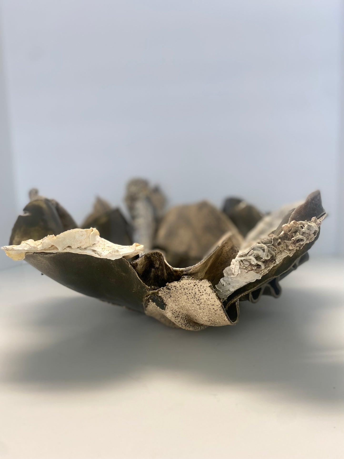 Ceramic Organic Wave Bowl With Shells by Gail Williams