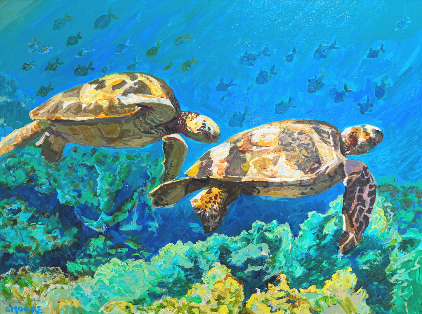 TURTLE SPACE by Stephen Moore