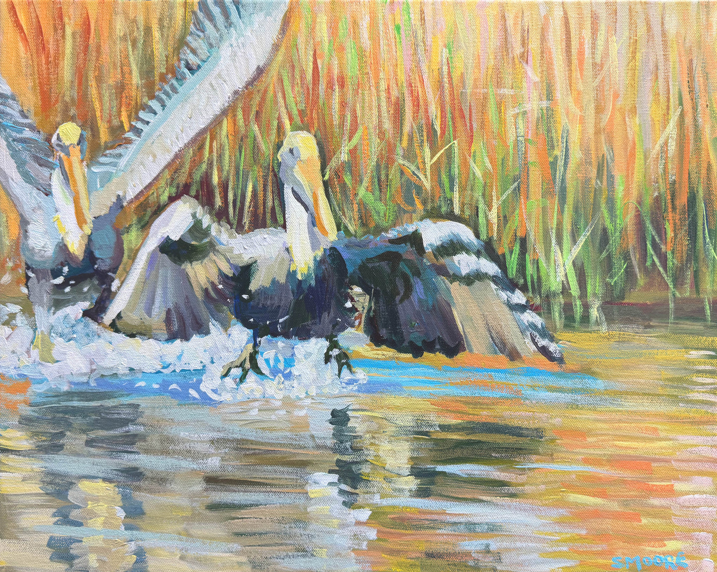 PELICAN LAUNCH by Stephen Moore