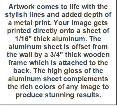 TREY OYSTERS Giclée on Metal by Sydnor Greene