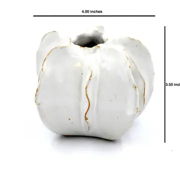 Small White Luffa - Decorative Tabletop Object