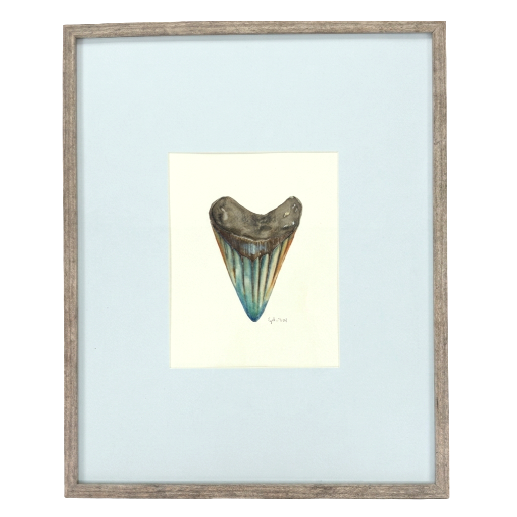 FRAMED SHARK TOOTH ORIGINAL VII by Cynthia Diehl