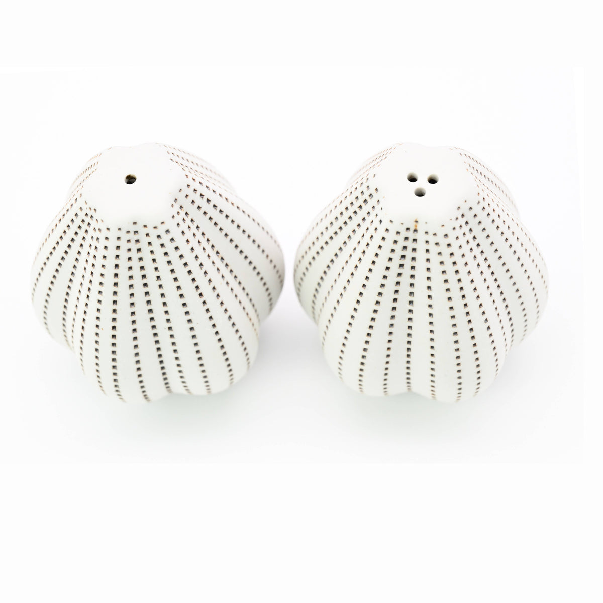 Champa Handcrafted Porcelain Salt and Pepper Shaker Set