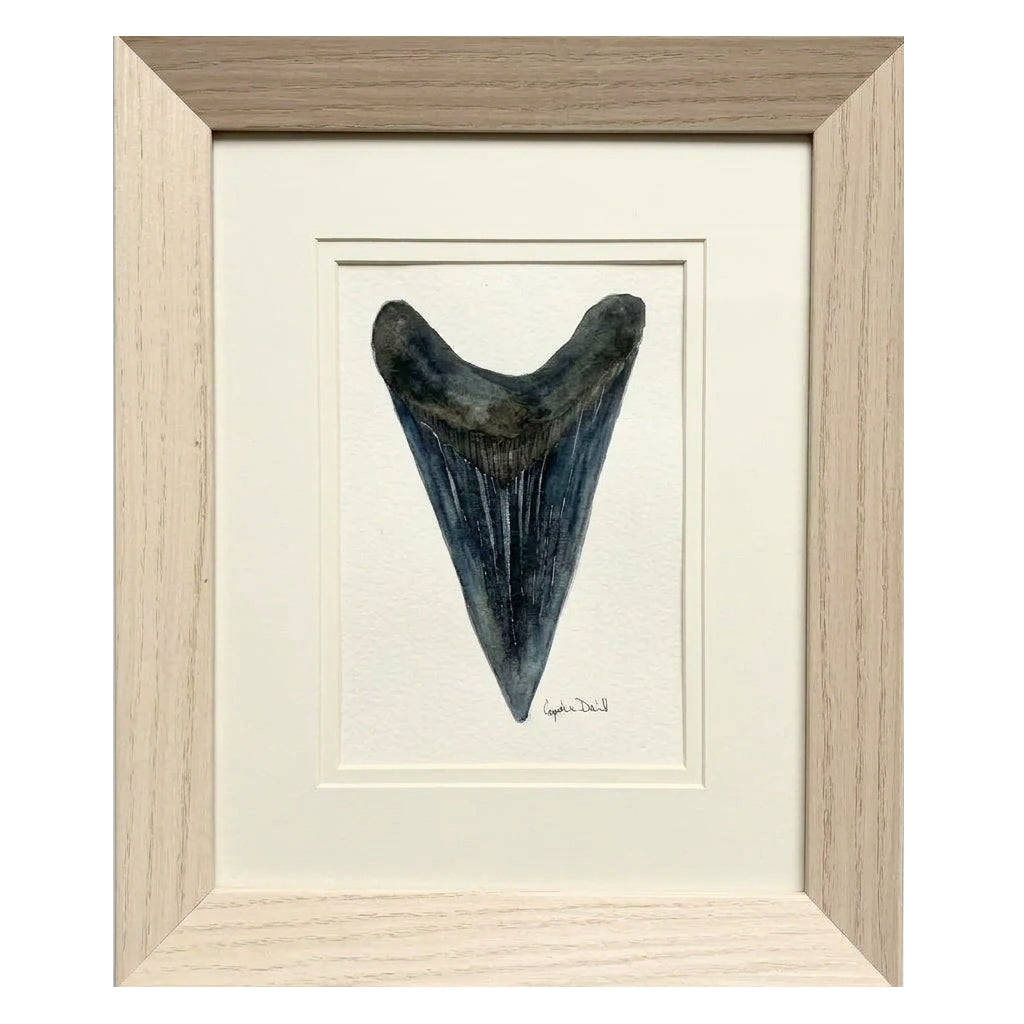 SMALL FRAMED SHARK TOOTH ORIGINAL by Cynthia Diehl