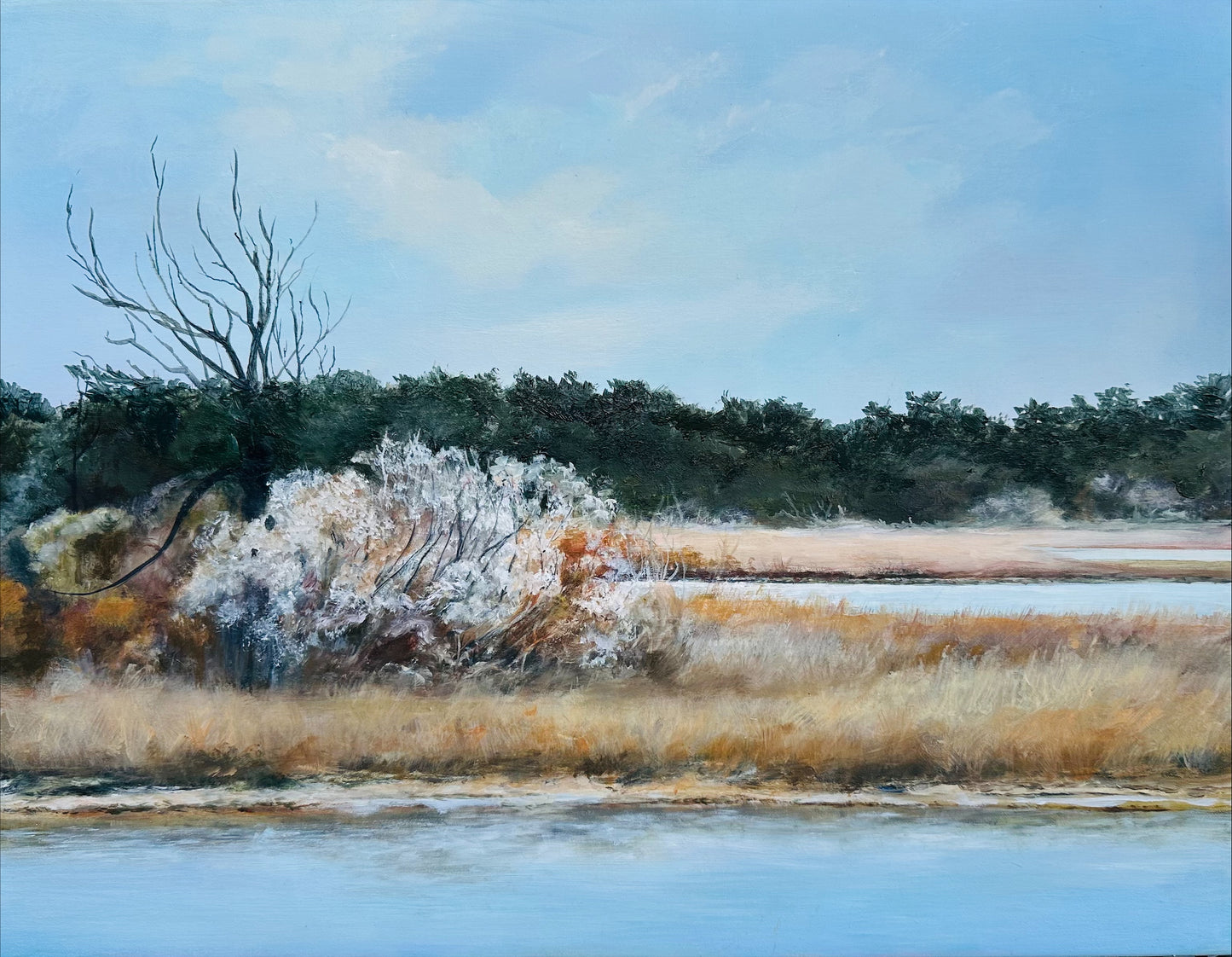 “Afternoon on Carrot” by Deanna Grant inspired by photo from “Why Beaufort NC”