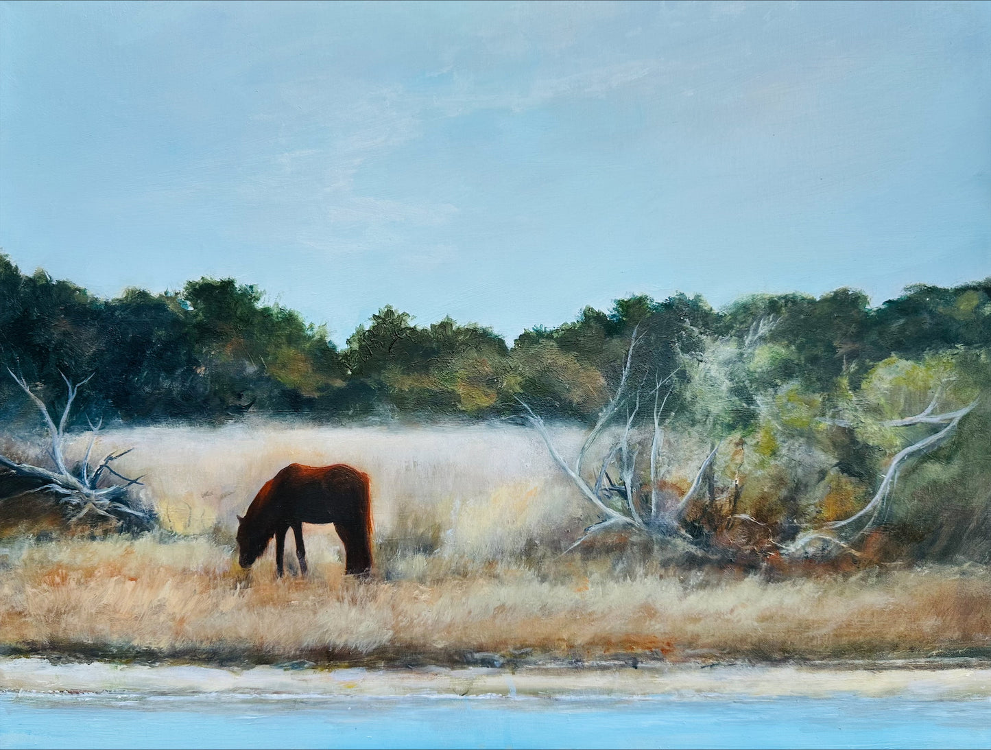 “Carrot Island Resident” by Deanna Grant inspired by photo from “Why Beaufort NC”