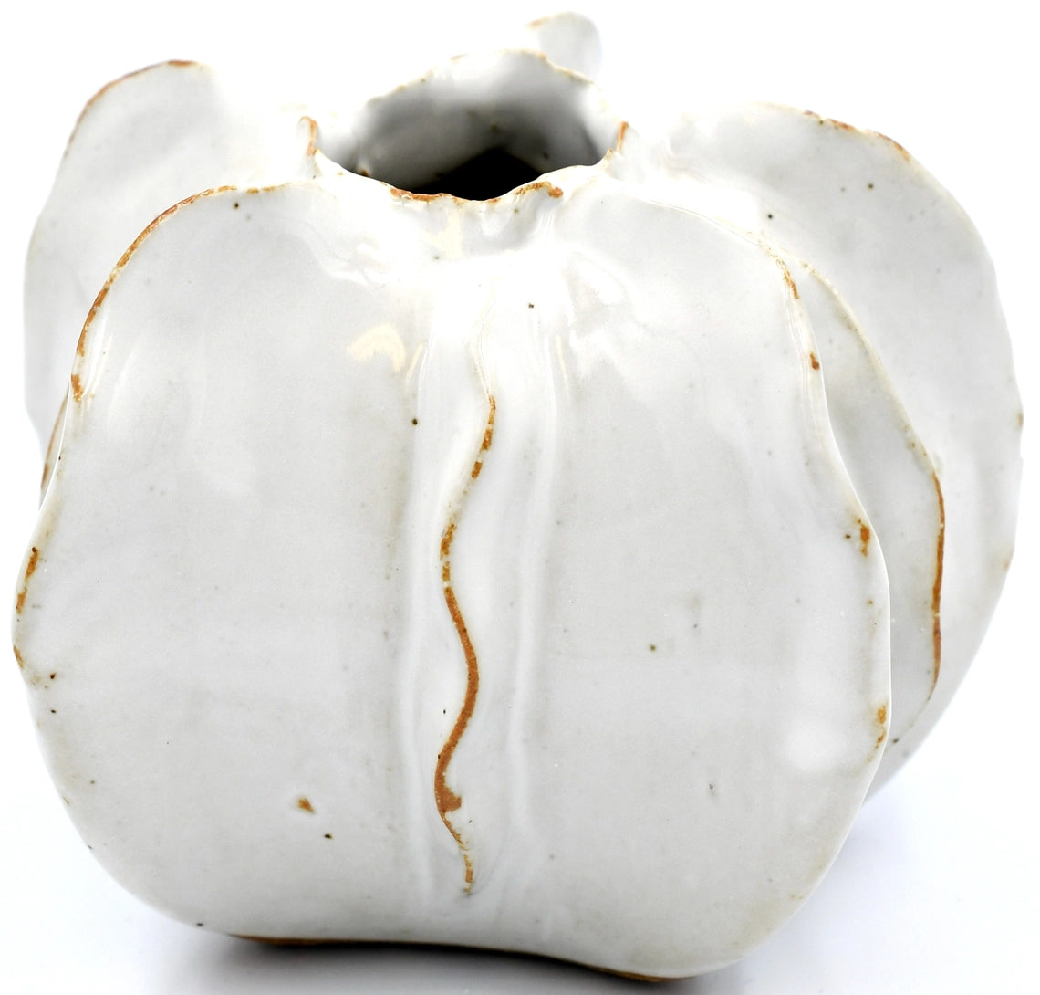 Small White Luffa - Decorative Tabletop Object