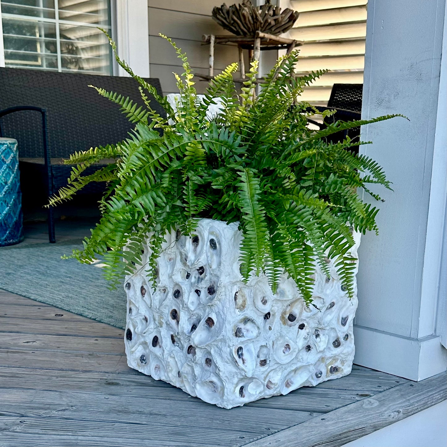 Oyster Square Planters by Allyson Gray Edwards