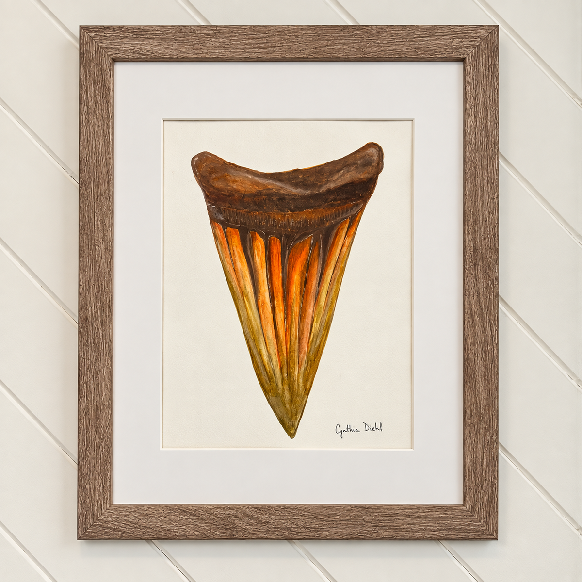 “Shark Tooth Original” by Cynthia Diehl