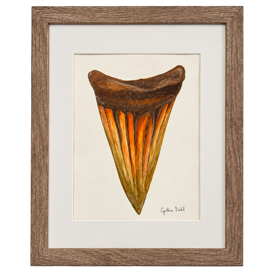 “Shark Tooth Original” by Cynthia Diehl