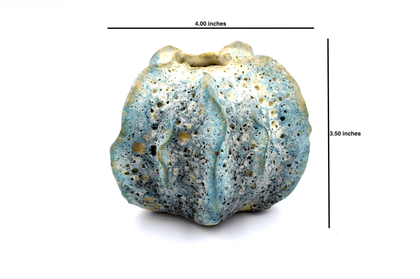 Small Sea Blue Luffa Bath Pouf