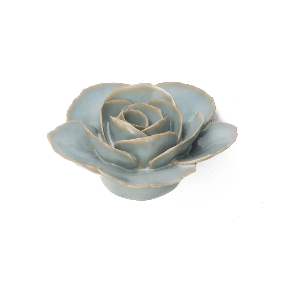 Milk Teal Elegance Ranunculus Flower Shop Gift Items