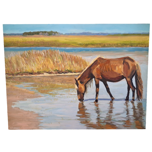 SHACK GRAZER AND REFLECTION by Stephen Moore