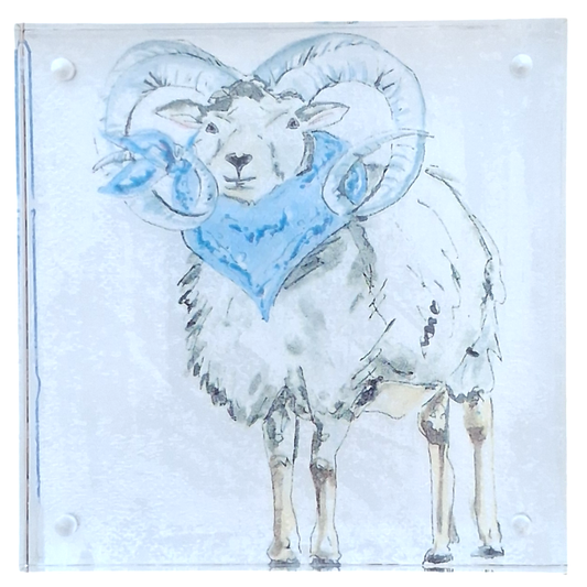 Carolina Ram by Allyson Gray Edwards
