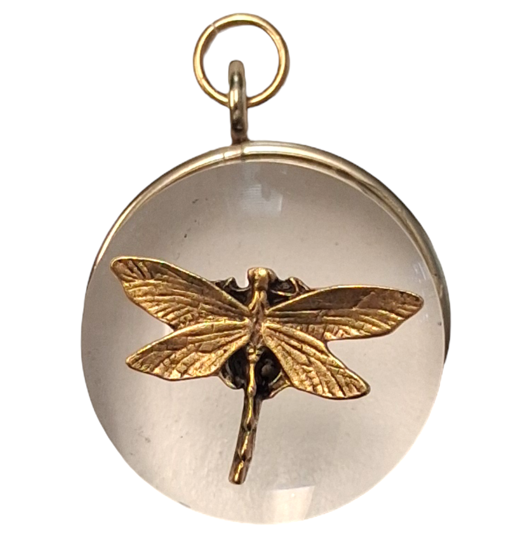 Round Dragonfly Museum Bee