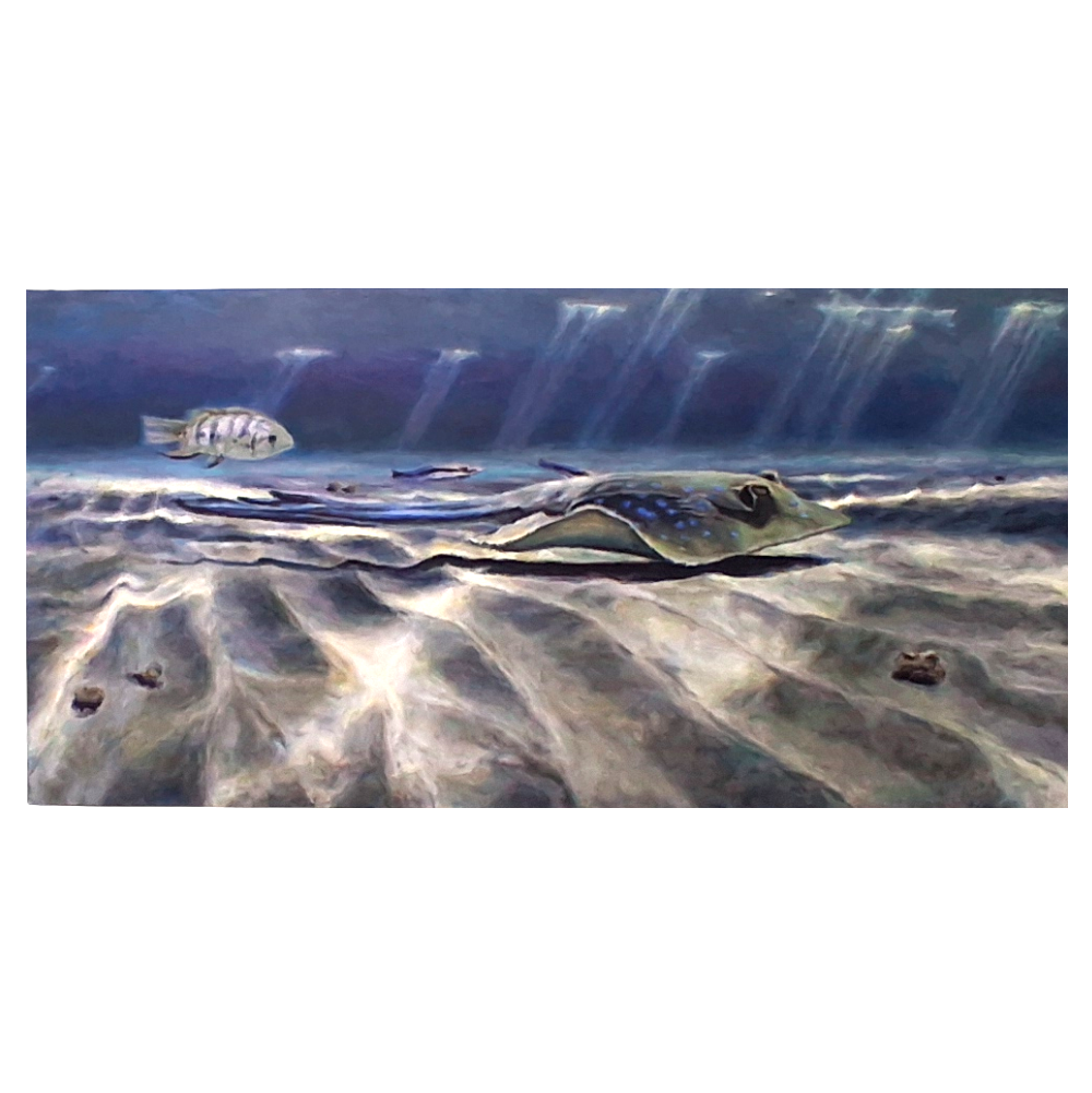 FOLLOW THE RAY by George Bason