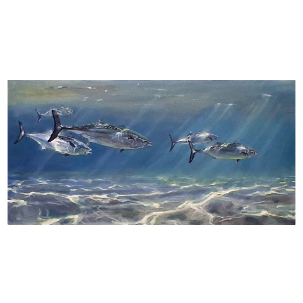 ALBACORE PARADISE by George Bason