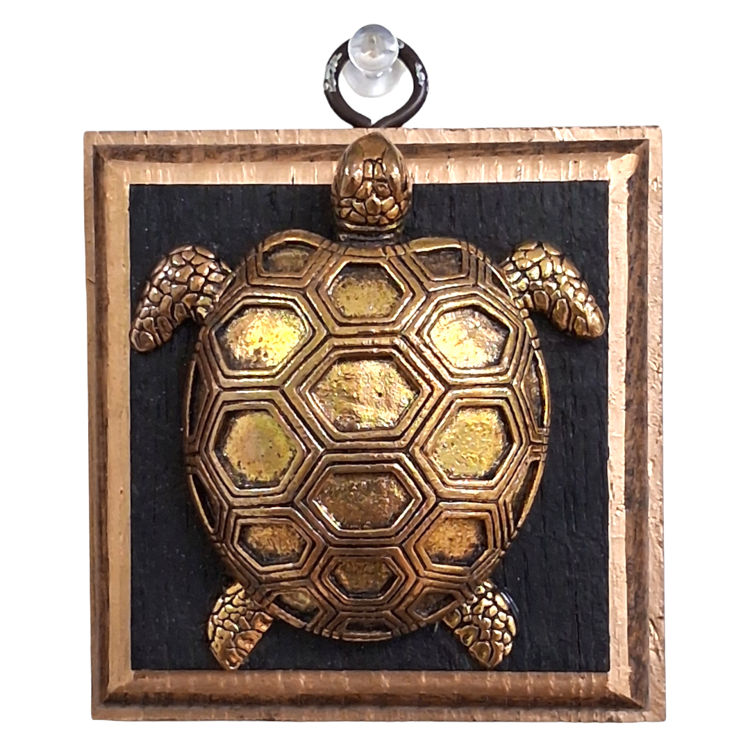 Turtle Museum Bee