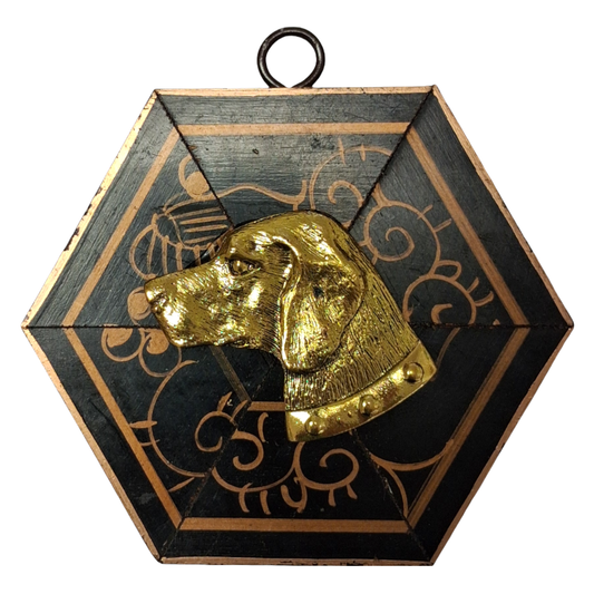 Hexagon Dog Museum Bee