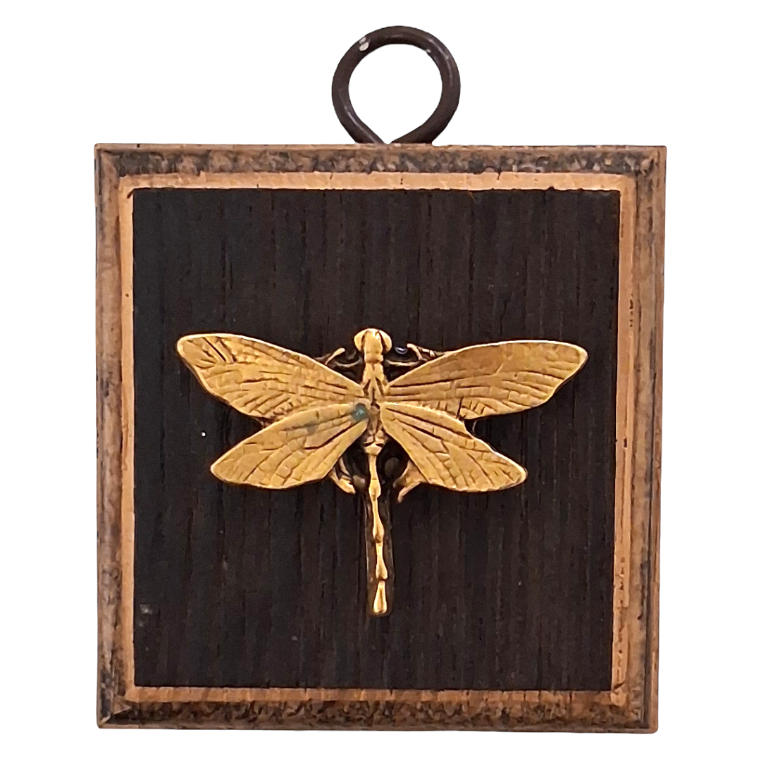 Square Dragonfly Museum Bee