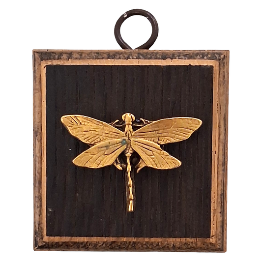Square Dragonfly Museum Bee