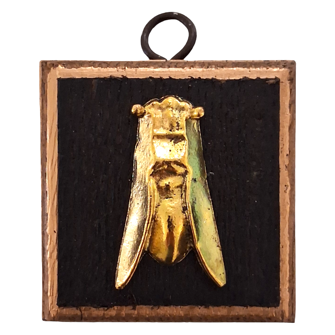 Cicada Museum Bee