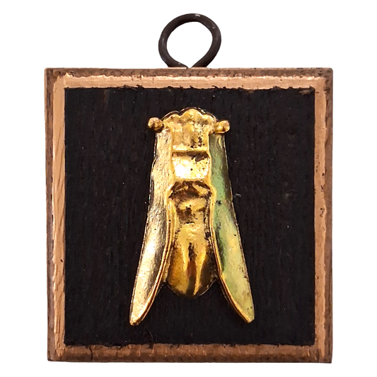 Cicada Museum Bee