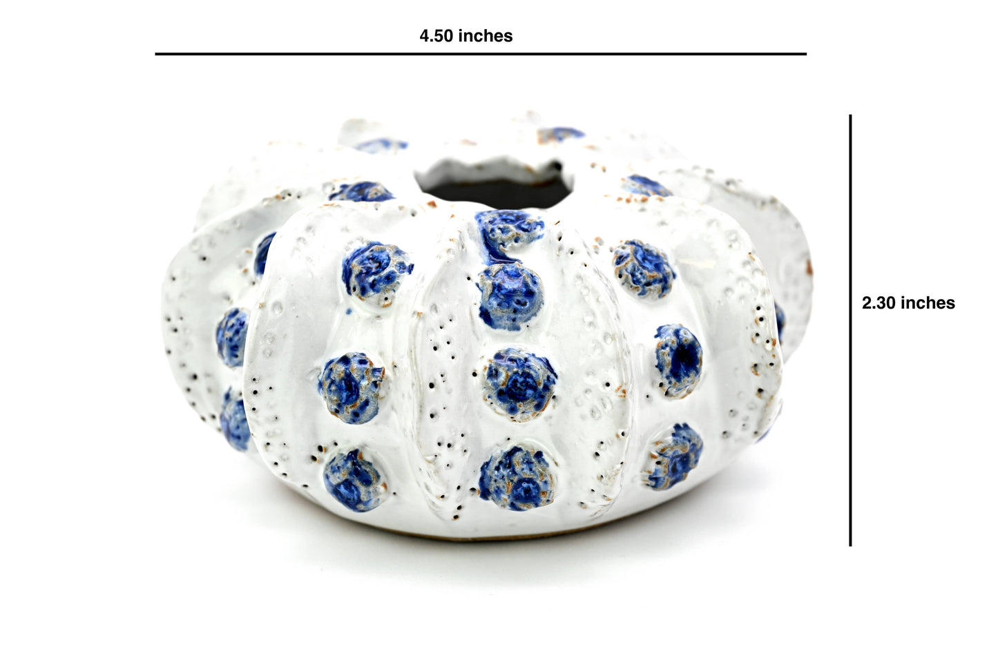 SRI193WB Coral ceramic vase white and blue