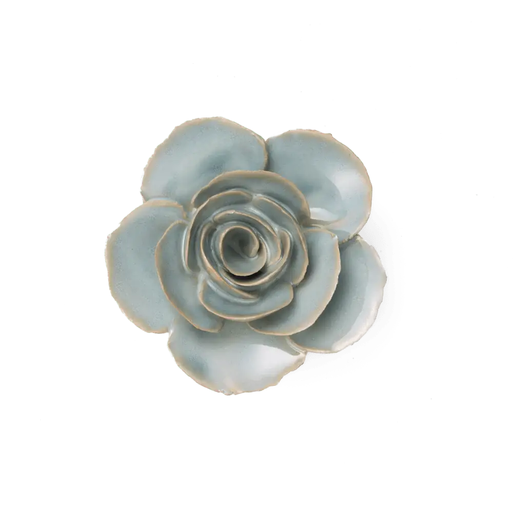 Milk Teal Elegance Ranunculus Flower Shop Gift Items
