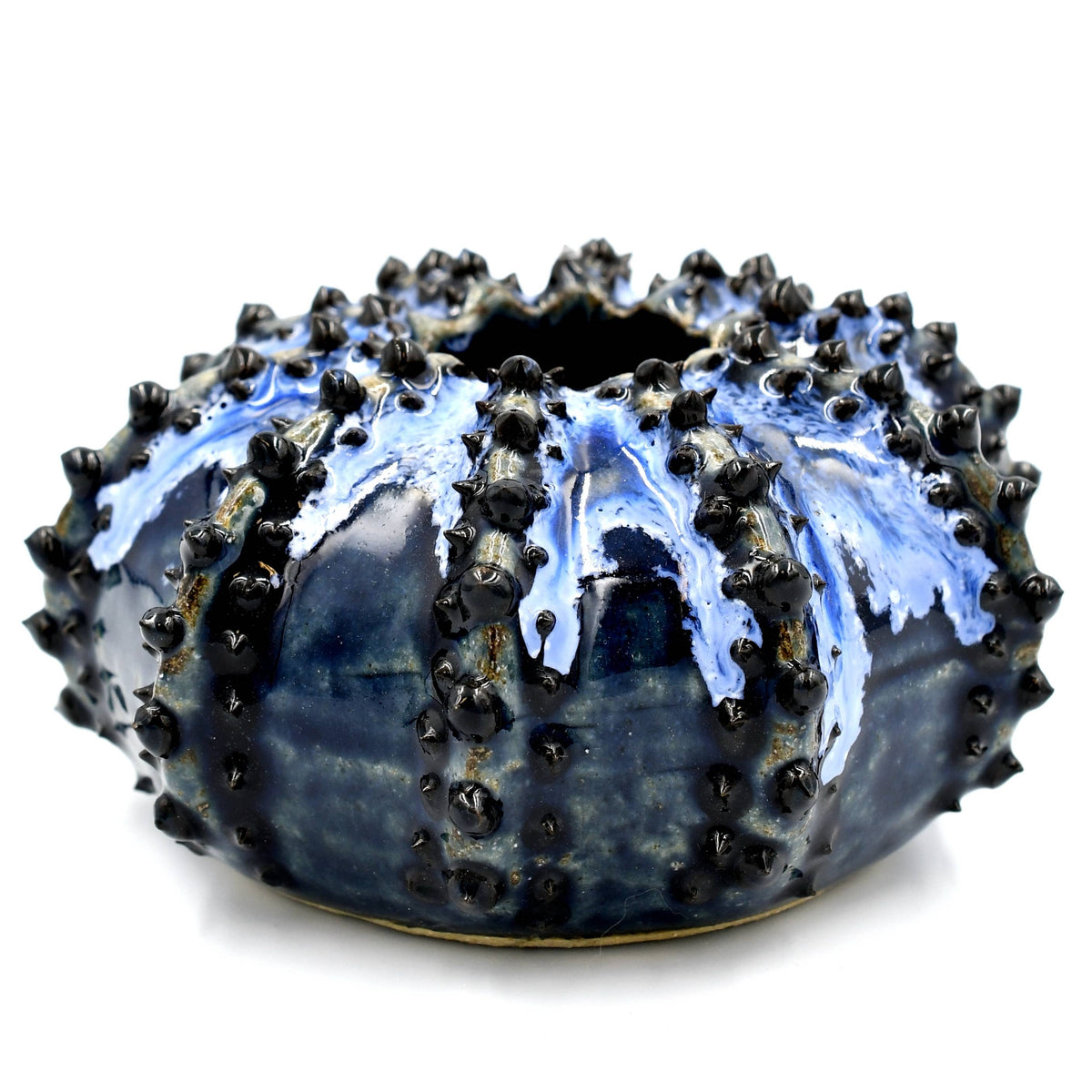 SEA URCHIN VASE Blue effect