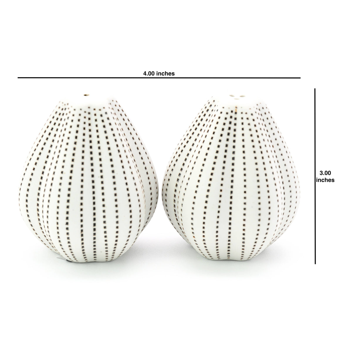 Champa Handcrafted Porcelain Salt and Pepper Shaker Set