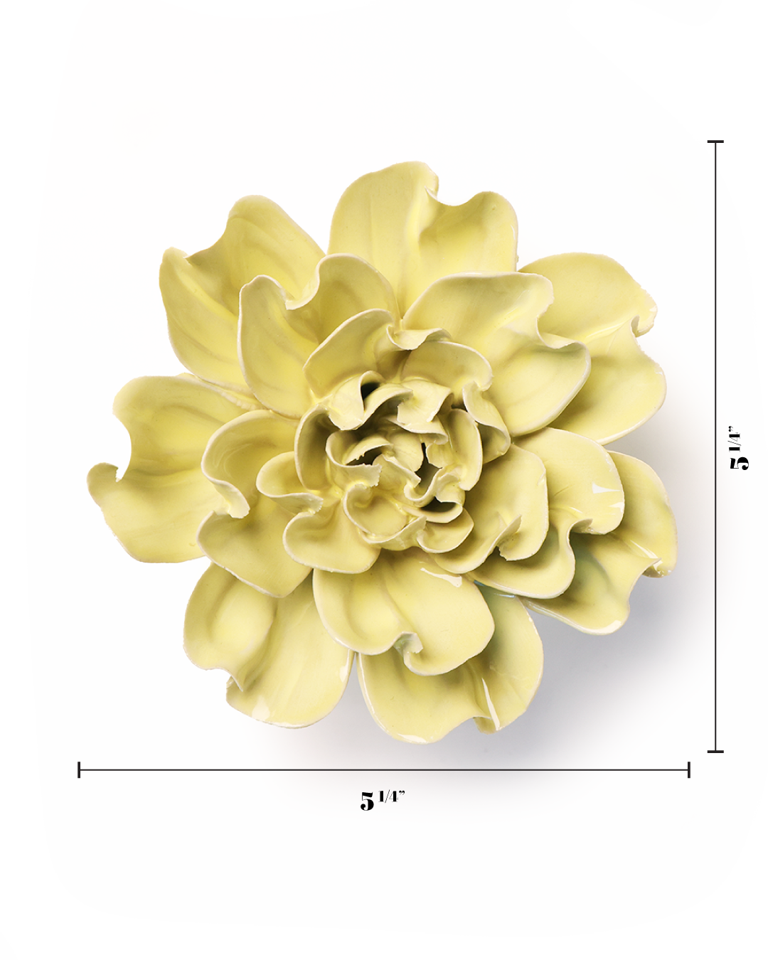 Lime Yellow Larkspur - Flower Art, Botanicals Decor