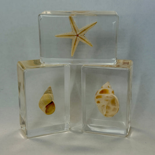 Salt Cubes