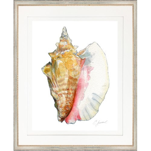 Shell Giclée Print by Charles Leonard