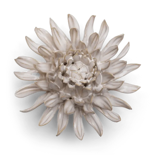 Luxury Ceramic Flowers - Handcrafted Boxed Gifts Spider Mum