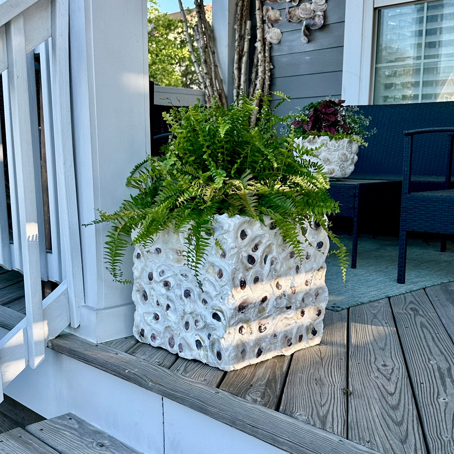 Oyster Square Planters by Allyson Gray Edwards