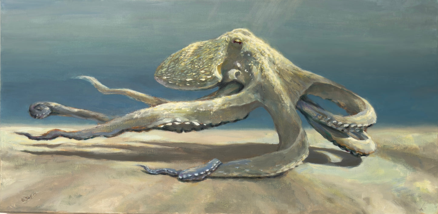 OCTOPUS SHADOWS by George Bason