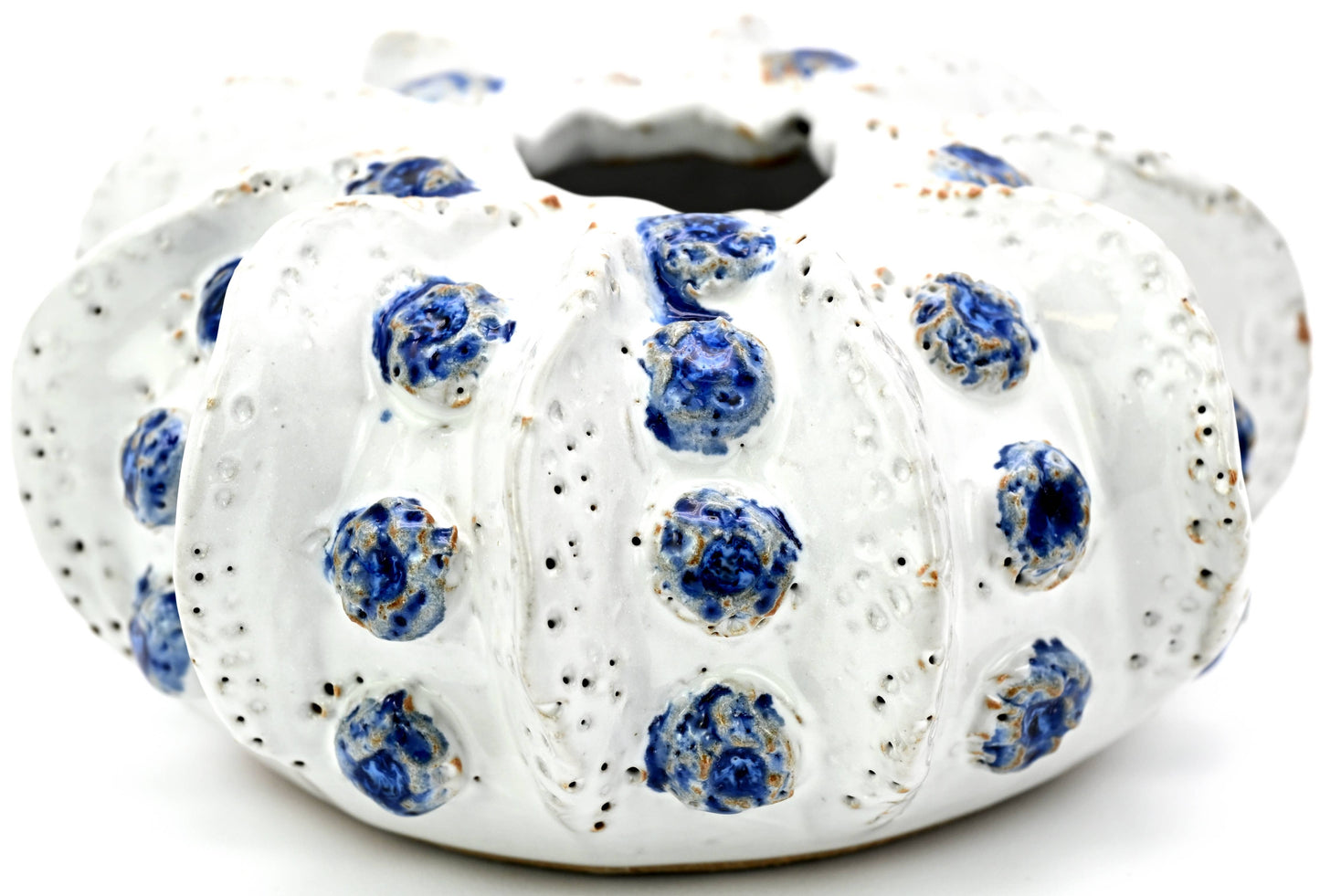 SRI193WB Coral ceramic vase white and blue