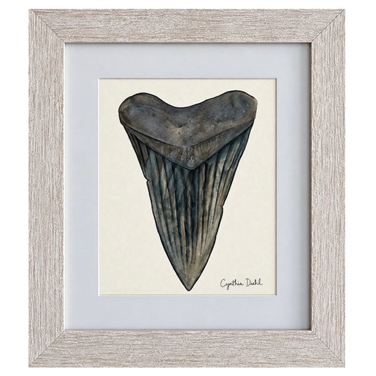 “Shark Tooth Original” by Cynthia Diehl