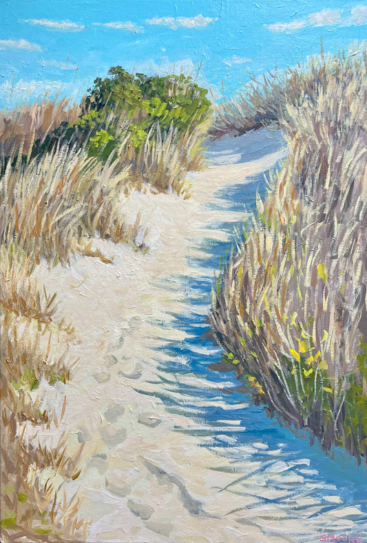 “Macon Dune Path with Shadows” by Stephen Moore