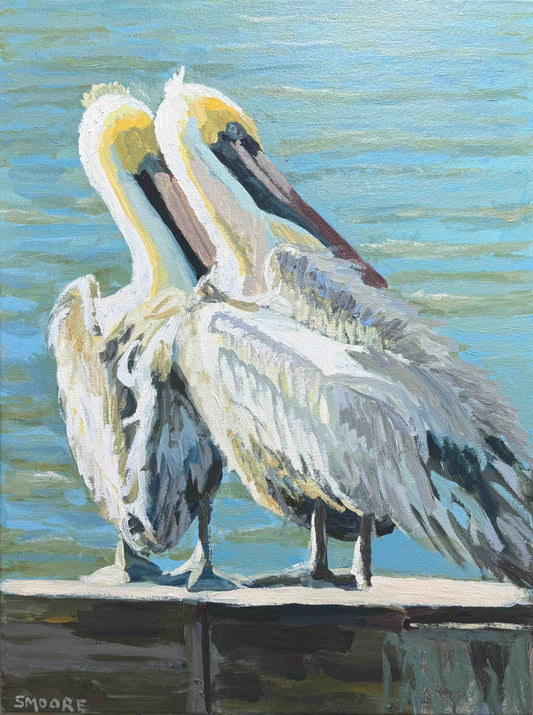 ‘Pelican Conspiracy’ by Stephen Moore